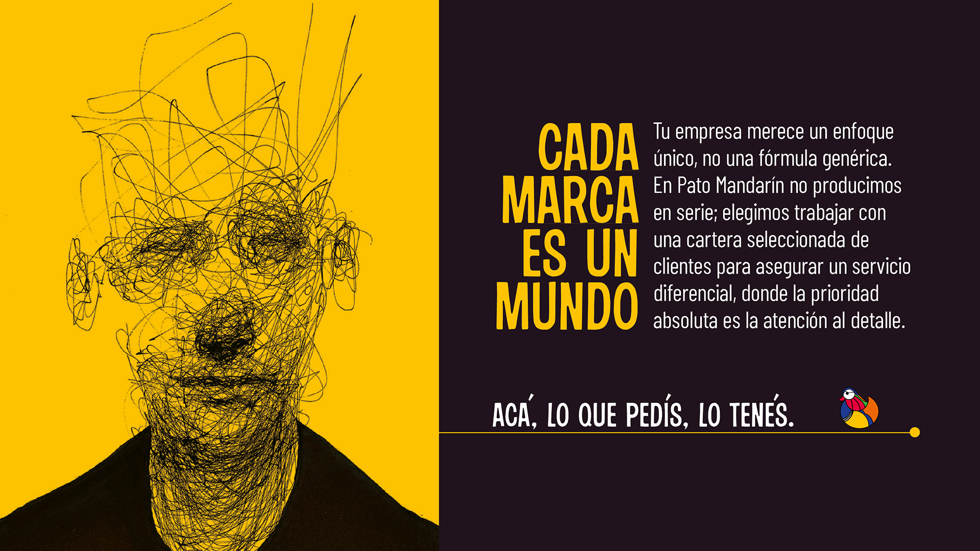 Pato Mandarin 3