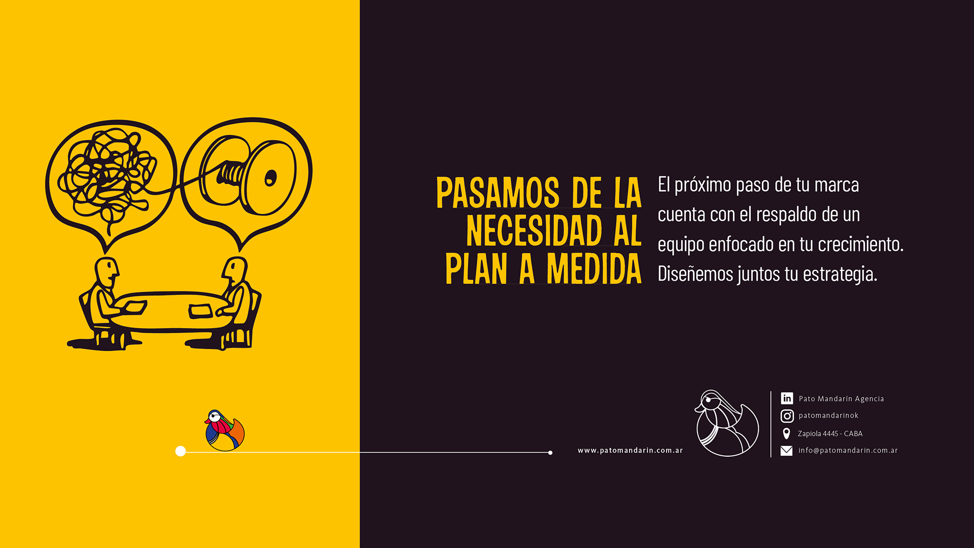 Pato Mandarin 5